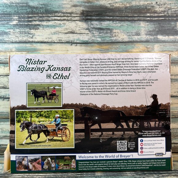 Breyer Horse Of My Very Own Welsh Mare & Foal Nistar Blazing Kansas & Ethel NIB - Picture 2 of 10